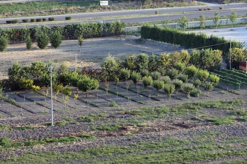 Agriturismo Posta Bassi Foggia Kültér fotó